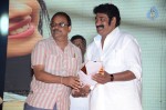 Loukyam Movie Vijayotsavam at Khammam - 190 of 391