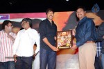 Loukyam Movie Vijayotsavam at Khammam - 198 of 391