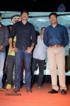 Loukyam Movie Vijayotsavam at Khammam - 209 of 391