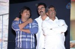 Loukyam Movie Vijayotsavam at Khammam - 210 of 391