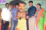 Loukyam Movie Vijayotsavam at Khammam - 282 of 391