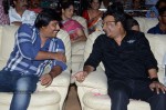 Loukyam Movie Vijayotsavam at Khammam - 290 of 391