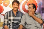 Loukyam Platinum Disk Function - 68 of 75