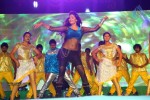 Loukyam Success Meet at Vizag - 194 of 641