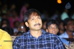 Loukyam Success Meet at Vizag - 231 of 641