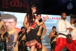 Loukyam Success Meet at Vizag - 238 of 641