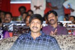 Loukyam Success Meet at Vizag - 286 of 641
