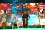 Loukyam Success Meet at Vizag - 295 of 641