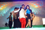 Loukyam Success Meet at Vizag - 303 of 641