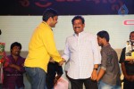 Loukyam Success Meet at Vizag - 330 of 641