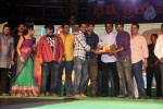 Loukyam Success Meet at Vizag - 529 of 641