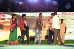 Loukyam Success Meet at Vizag - 548 of 641