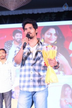 Love Cheyyala Vadda Movie Audio Launch - 6 of 32