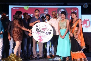 Love Cheyyala Vadda Movie Audio Launch - 19 of 32