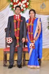 M Ramanathan Daughter Wedding- Reception  - 10 of 140