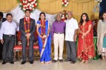 M Ramanathan Daughter Wedding- Reception  - 14 of 140