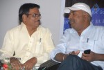 Maa Abbai Engineering Student Movie Audio Launch - 31 of 78