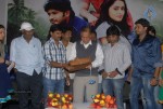 Maa Abbai Engineering Student Movie Audio Launch - 37 of 78