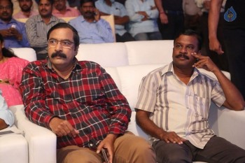 Maa Abbayi Audio Launch 1 - 53 of 74