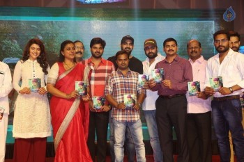Maa Abbayi Audio Launch 2 - 15 of 84