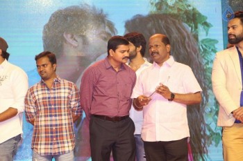 Maa Abbayi Audio Launch 2 - 50 of 84