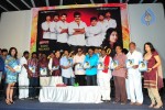 Maa Annayya Bangaram Movie Audio Launch Photos - 11 of 86