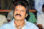 Maa Annayya Bangaram Movie Audio Launch Photos - 23 of 86