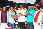 Maa Annayya Bangaram Movie Audio Launch Photos - 25 of 86