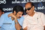 Maa Annayya Bangaram Movie Audio Launch Photos - 28 of 86