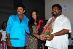 Maa Annayya Bangaram Movie Audio Launch Photos - 44 of 86