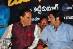 Maa Annayya Bangaram Movie Audio Launch Photos - 45 of 86