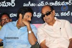 Maa Annayya Bangaram Movie Audio Launch Photos - 56 of 86