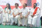 Maa Annayya Bangaram Movie Opening Stills - 5 of 140