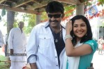 Maa Annayya Bangaram Movie Opening Stills - 30 of 140