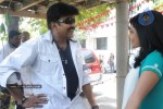 Maa Annayya Bangaram Movie Opening Stills - 52 of 140