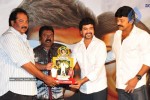 Maa Annayya Bangaram Movie Platinum Disc Function  - 1 of 52