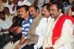 Maa Annayya Bangaram Movie Platinum Disc Function  - 10 of 52