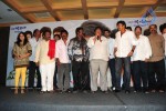 Maa Annayya Bangaram Movie Platinum Disc Function  - 13 of 52