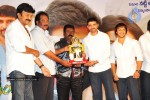 Maa Annayya Bangaram Movie Platinum Disc Function  - 15 of 52