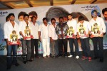 Maa Annayya Bangaram Movie Platinum Disc Function  - 16 of 52