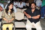 Maa Annayya Bangaram Movie Platinum Disc Function  - 18 of 52