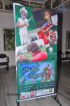 Maa Palle Repallantaa Movie Audio Launch - 16 of 29