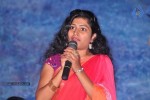 Maa Palle Repallantaa Movie Audio Launch - 20 of 29