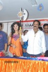 Maa Stars at Simha's Axe Auction Press Meet - 44 of 63