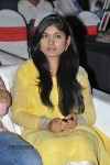 Maaya Movie Audio Launch 01 - 30 of 44