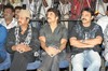 Mahatma Audio Launch - 89 of 195