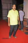 Mahesh Movie Audio Launch 01 - 24 of 74
