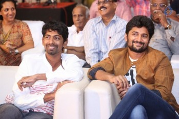 Majnu Movie Audio Launch 1 - 21 of 63