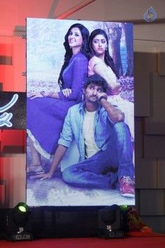 Majnu Movie Audio Launch 1 - 24 of 63