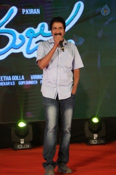 Majnu Movie Audio Launch 2 - 17 of 60